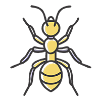 Уничтожение муравьев