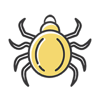 Уничтожение клещей